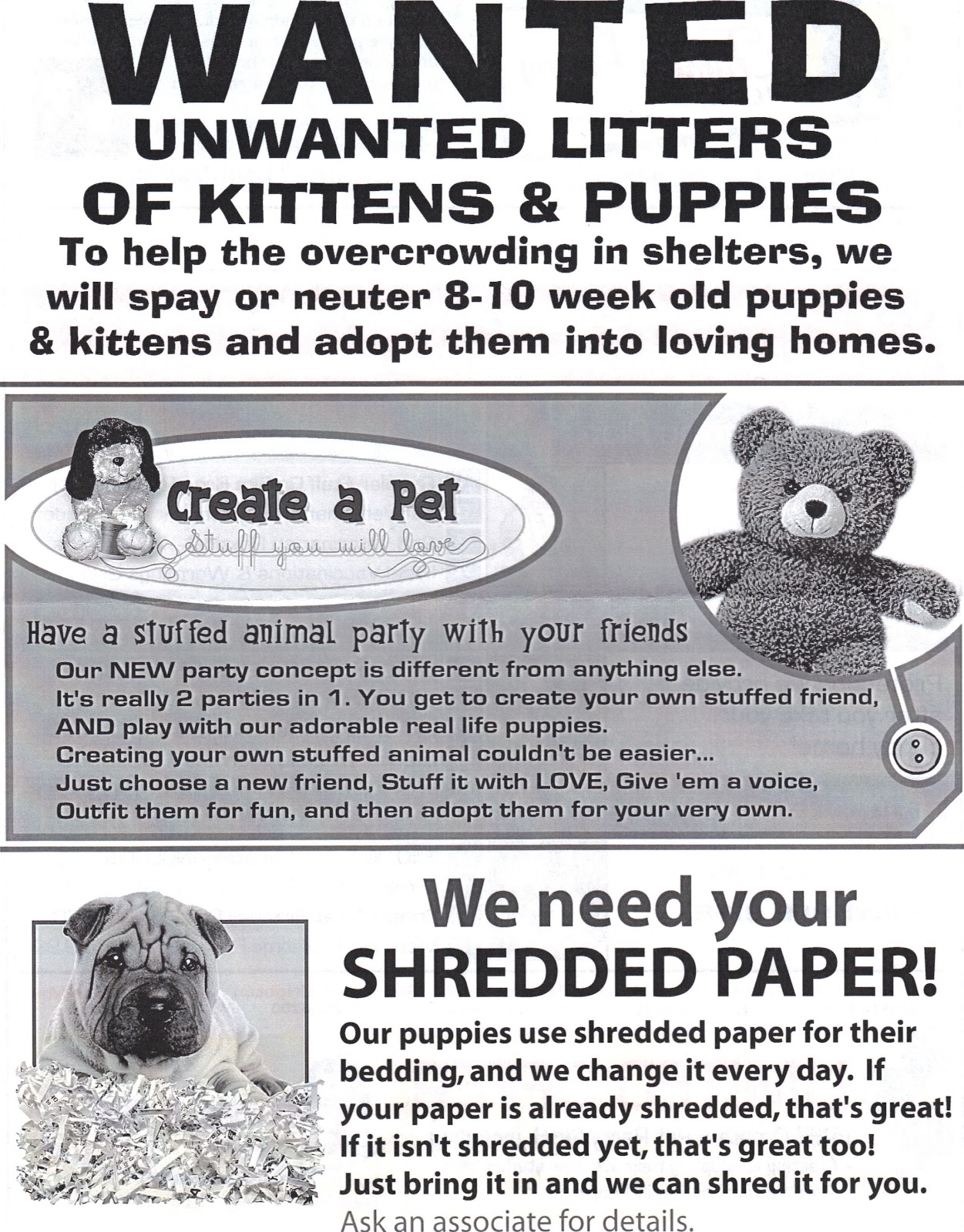 puppies for sale flyers