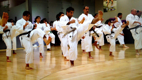 Shotokan Karate Training Videos
