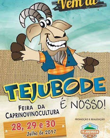 TEJUBODE 2017