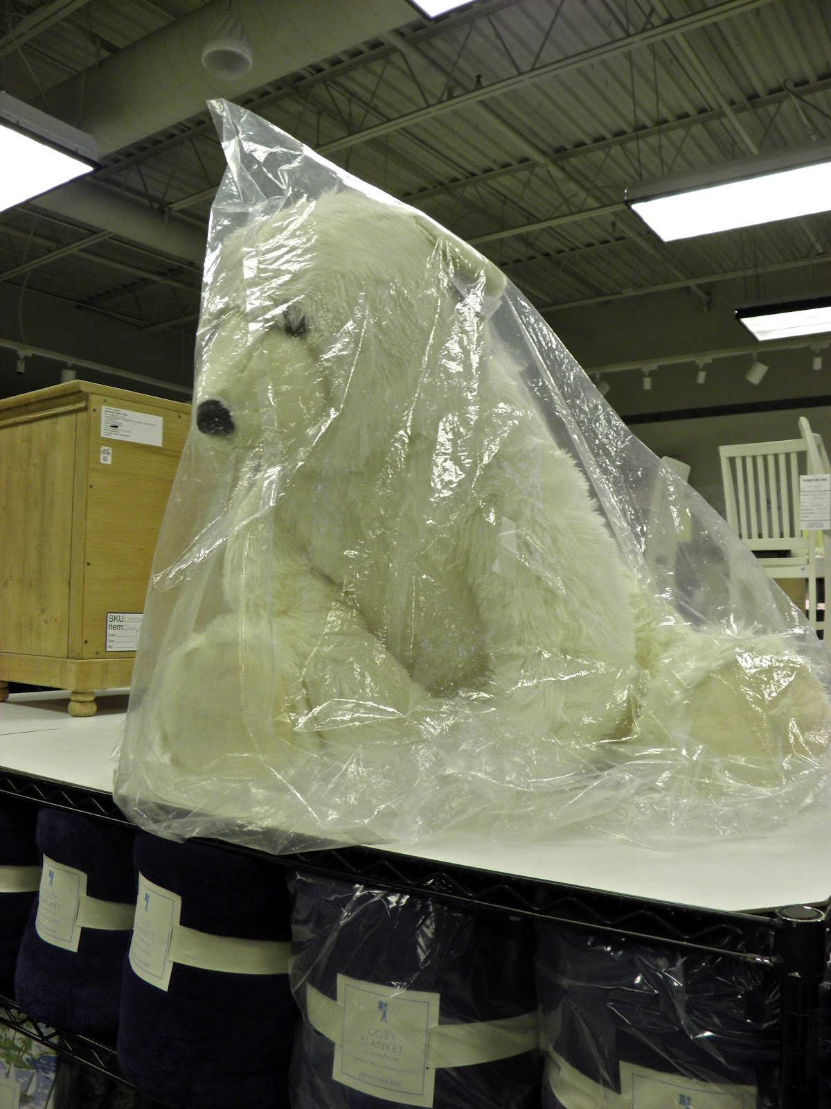 From Captain's Daughter to Army Mom Pottery Barn Outlet, Gaffney!