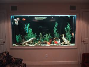 500 gallon fish tank