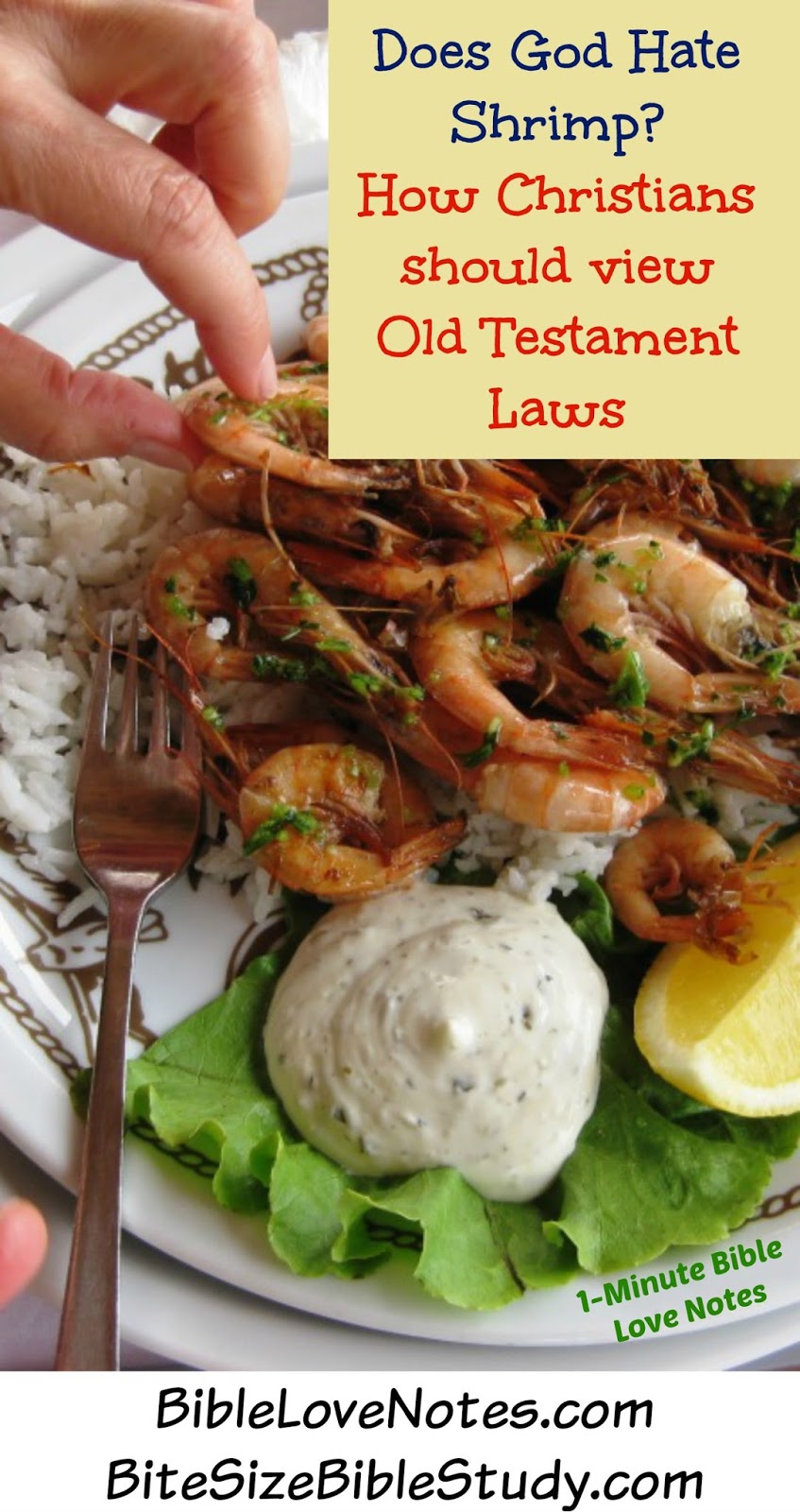 Bite Size Bible Study Does God Hate Shrimp? Study