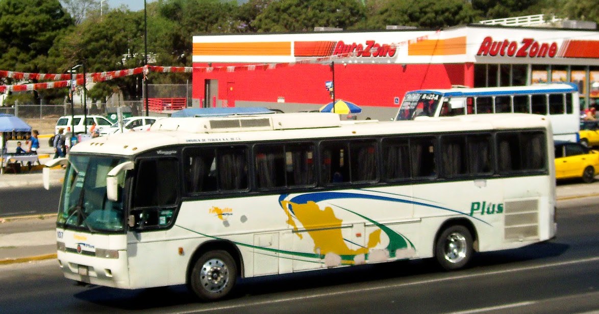MAXIBUSES OMNIBUS DE TEQUILA, TEQUILA PLUS