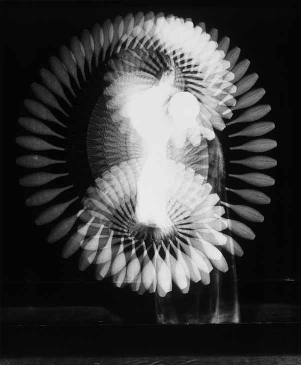 The Reel Foto Harold Eugene Edgerton In the Blink of an Eye