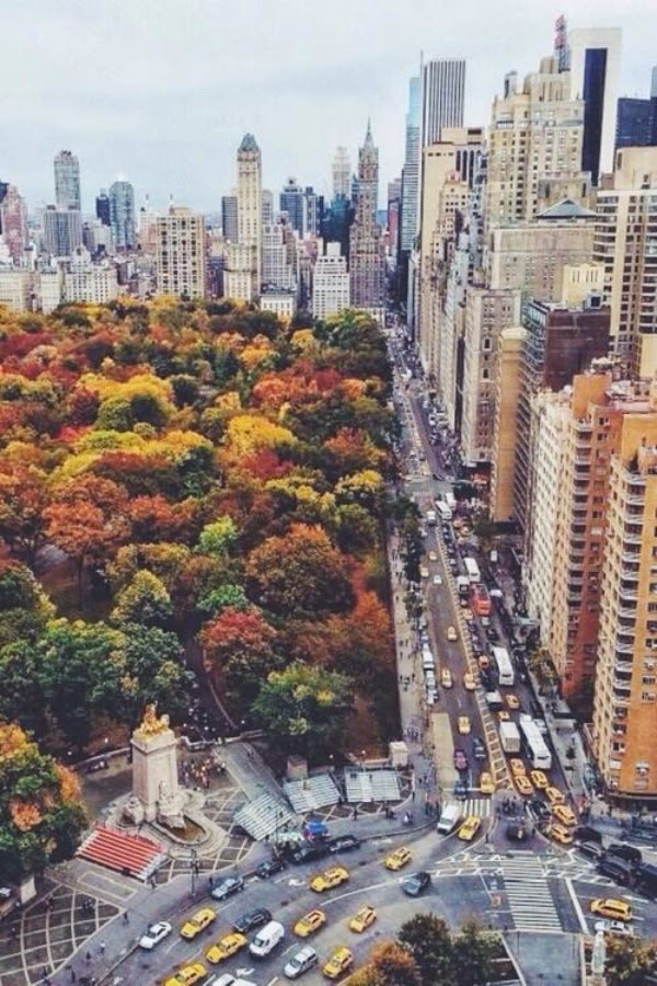 fall in new york