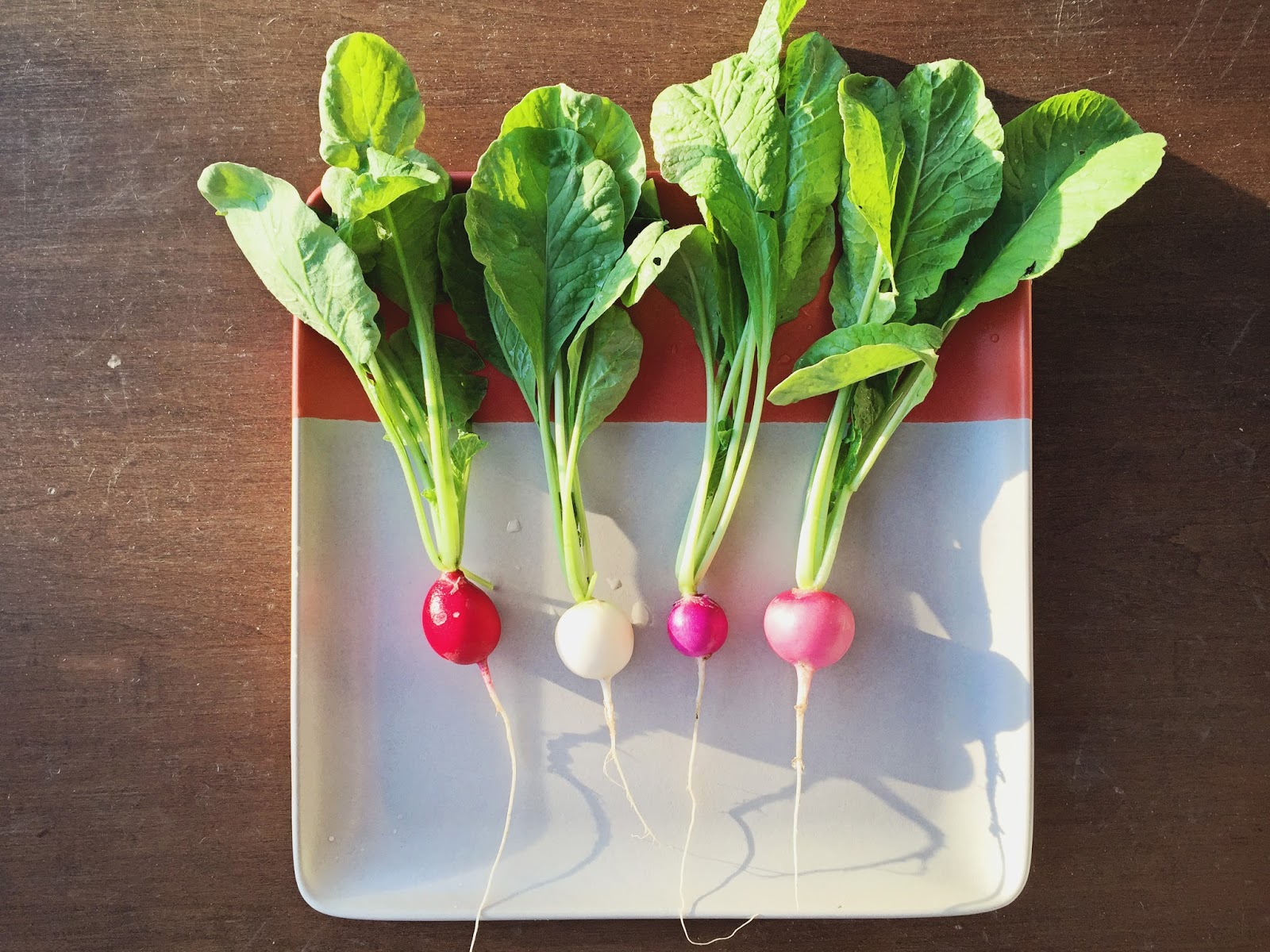 in the Hopeful Kitchen Beginnings. And Radishes.