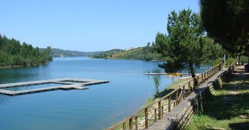 Papoila aldeIA do mato