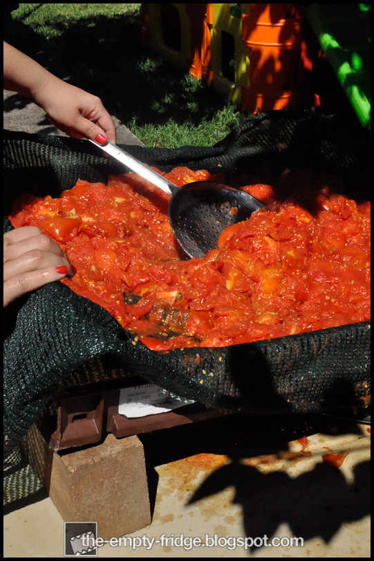 The Empty Fridge. Tomato Sauce Day Italian Backyard Style.