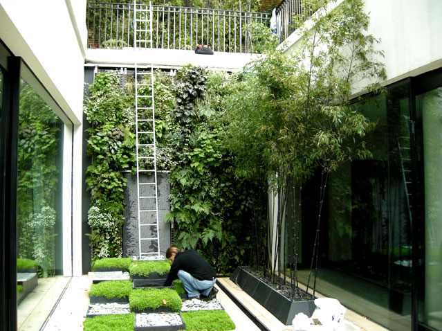 Modern Vertical Garden House for Living room