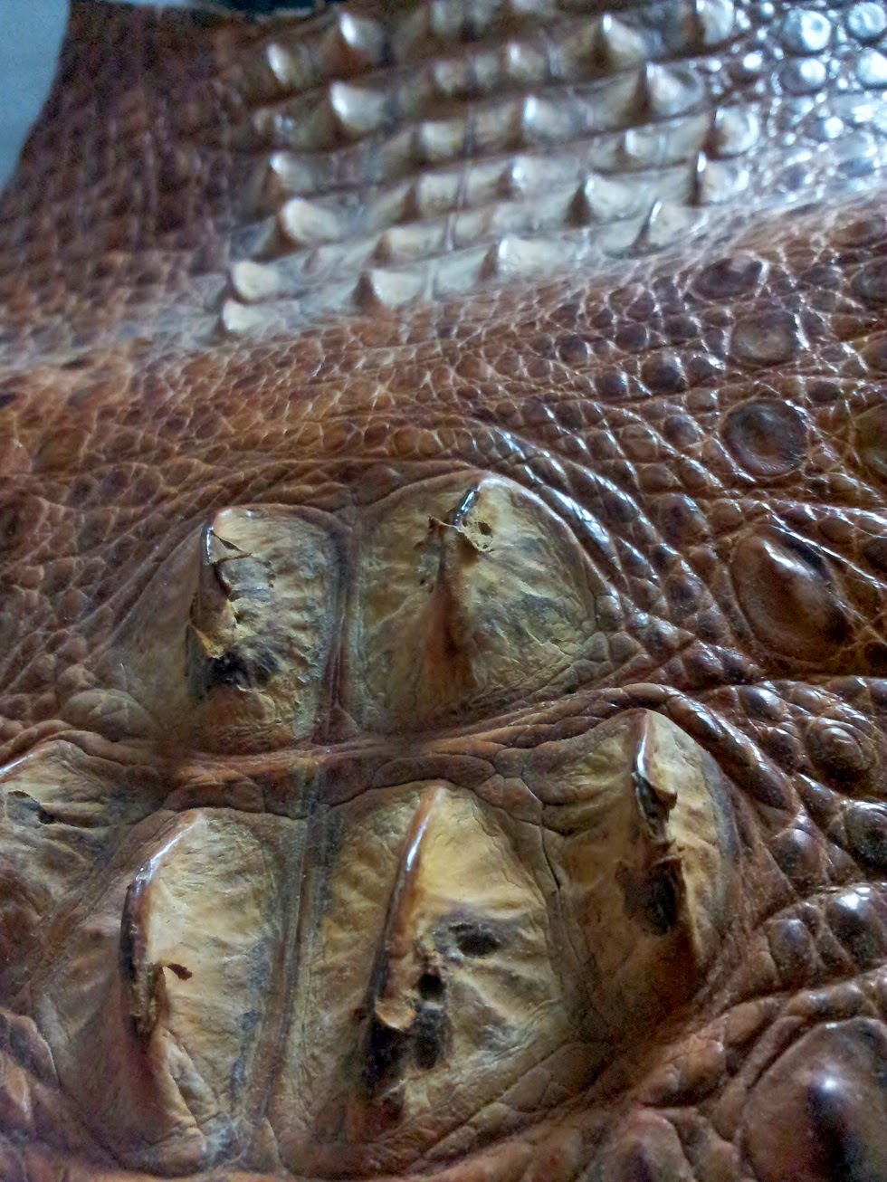 botas vaqueras piel exotica