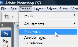 duplicate