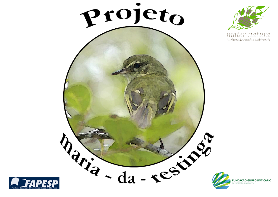 Projeto maria-da-restinga