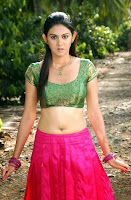 South Indian Actress Hot Navel Show Photos