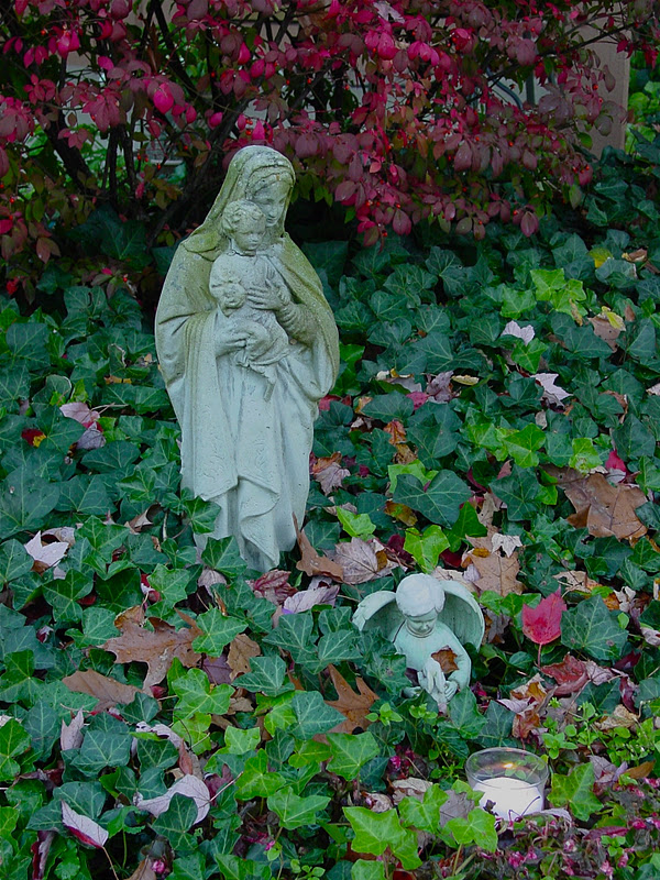 1000+ images about Mary's Flowers ⊰ Gardens on Pinterest Gardens