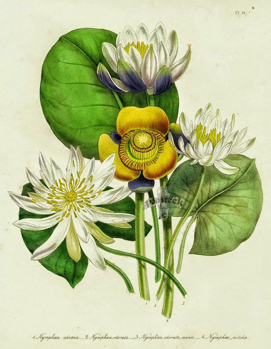 Infotainment @ www.keralites.net Fun & Info @ Keralites.net