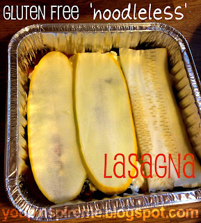 Gluten Free, Grain Free, Noodle-less Chicken Lasagna