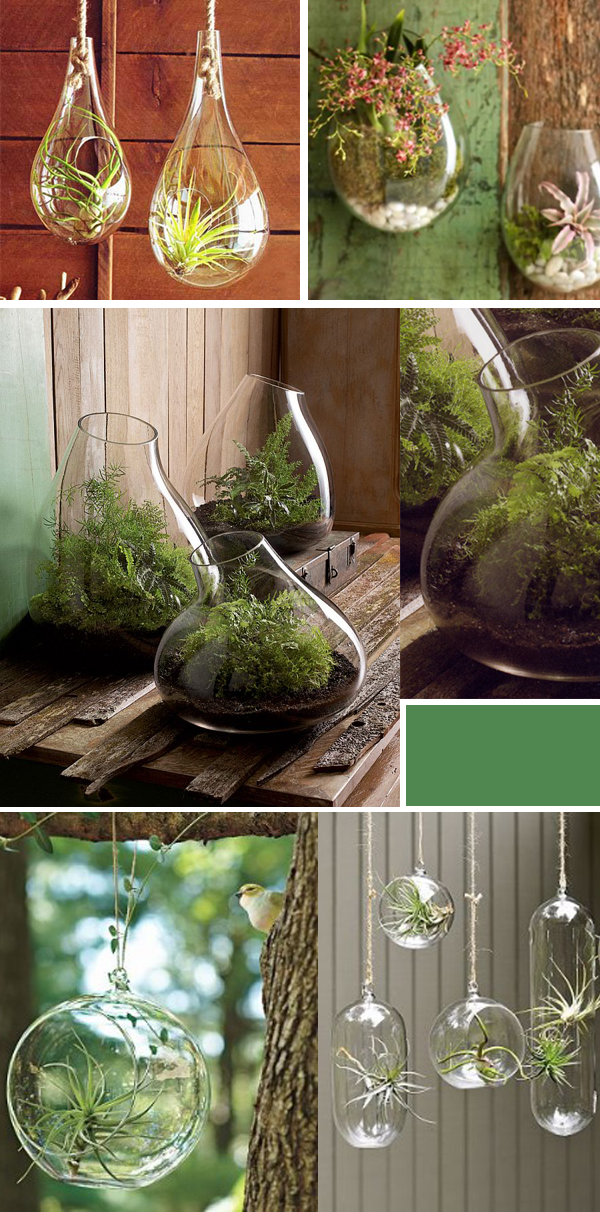 September and Sun Hanging Terrariums An Unexpected Way to Display
