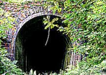 The World39s Best Photos by cerij4242 Flickr Hive Mind The World39s Best Photos by cerij4242 Flickr Hive Mind