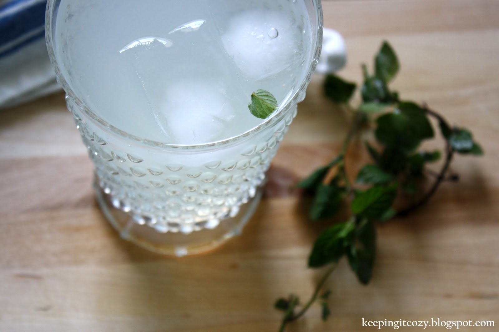 Keeping It Cozy Mint Flavored Lemonade