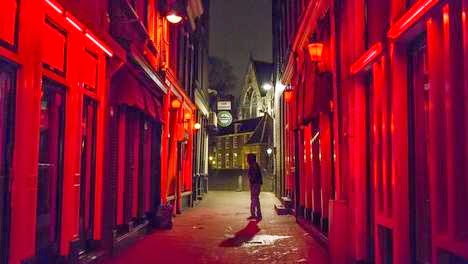 aantal prostituees nederland