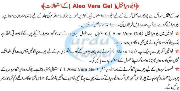 Urdu Korner: Aloe Vera Gel Uses and Benefits in Urdu