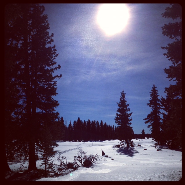 Snowshoeing the Grand Mesa Just a Colorado Gal