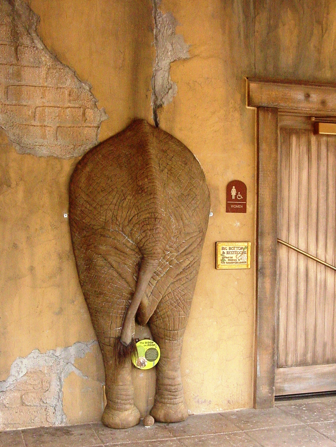 Tucson Daily Photo The scoop on poop (elephant, that is)