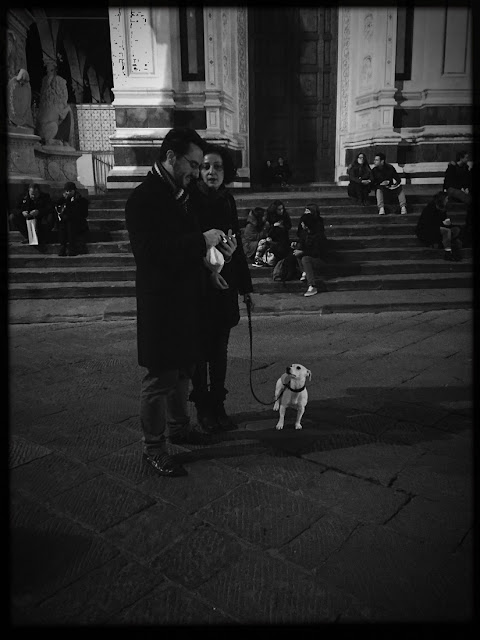 Dogs of Florence, dogs, Florence, Italy, canines, travel, Santa Croce