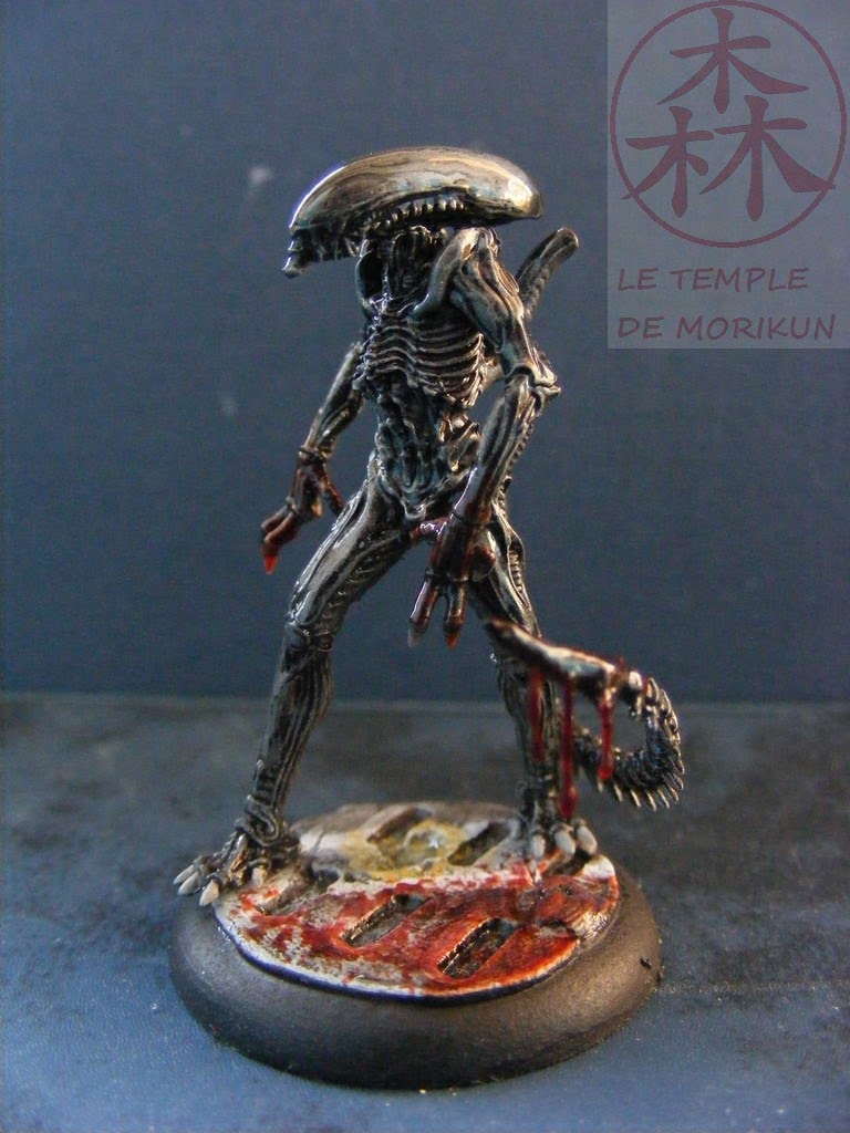 [Image: AVP%2B19%2B%252815%2529.JPG]