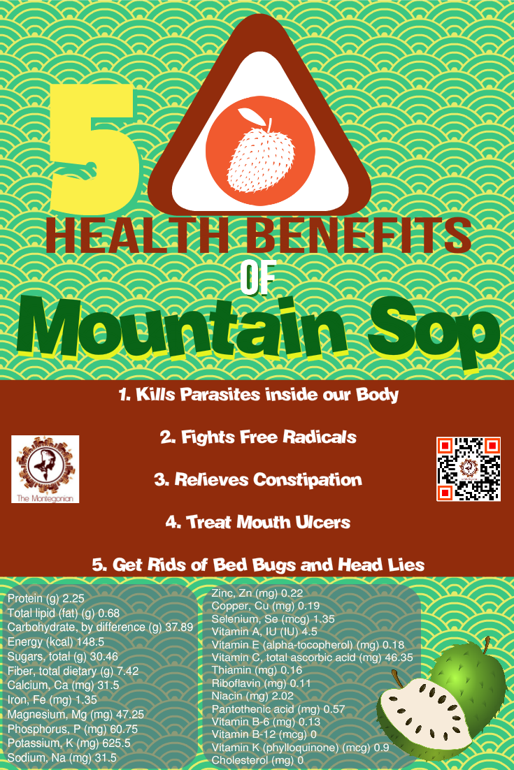 Rastafari Today The 5 Health Benefits of Mountain Sop