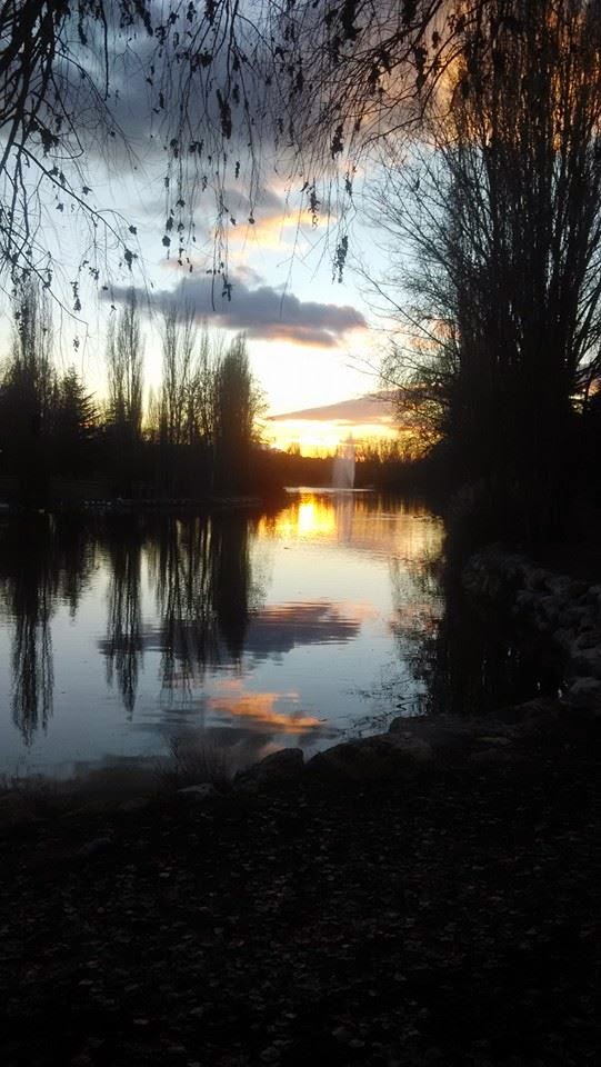 VIVIR EN MÓSTOLES 10469421_984597021570288_438035867181122