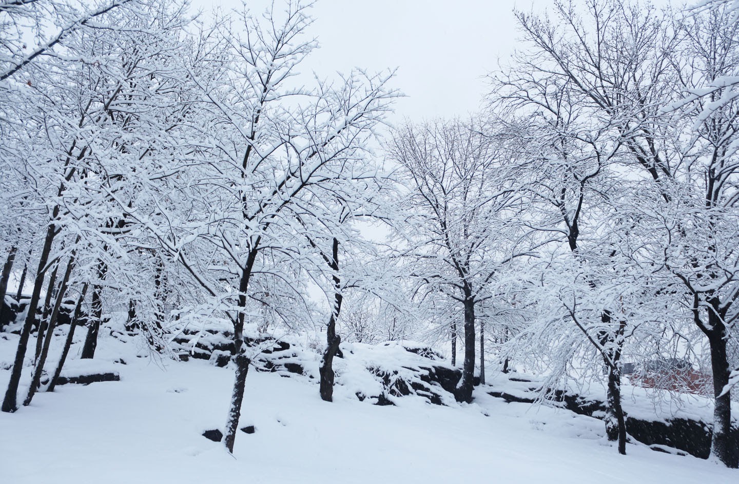 Just walk on by brent staples pdf image