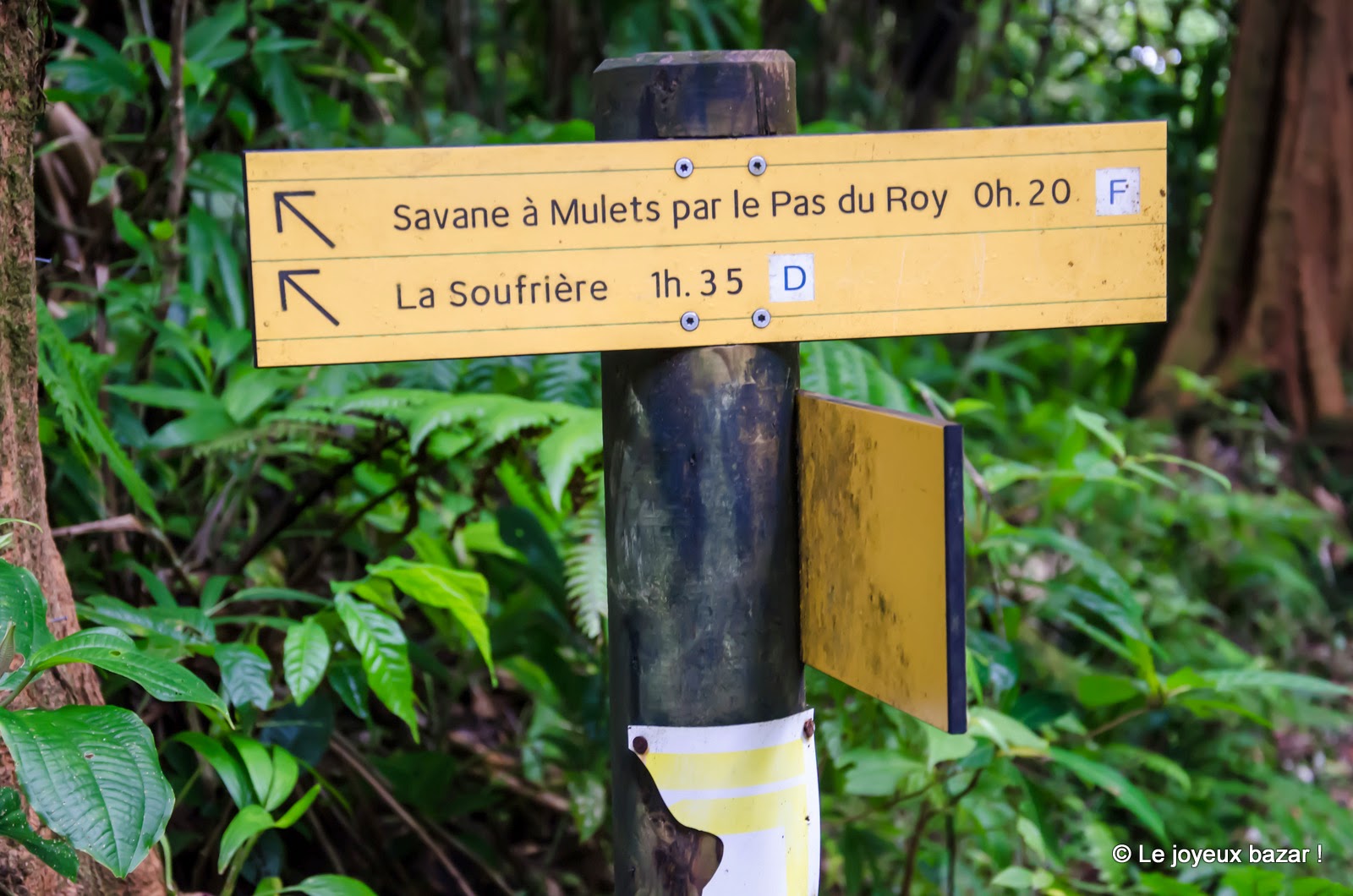 Guadeloupe - randonnée Soufrière