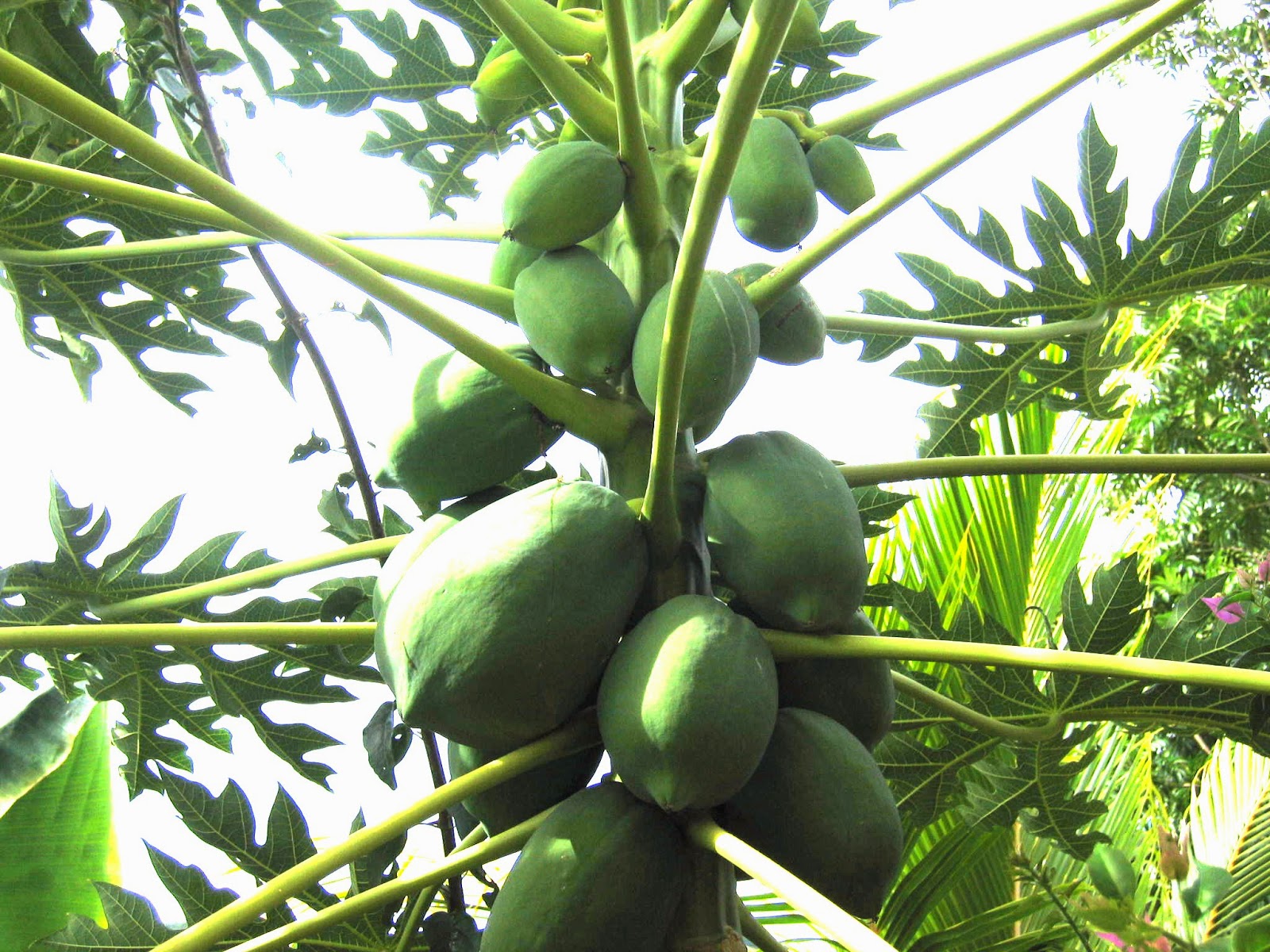 Connecting with Nature 2014