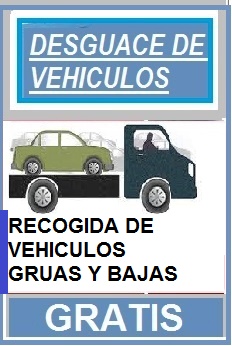 RECOGIDA DE VEHICULOS