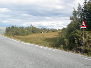 längs norska vägar