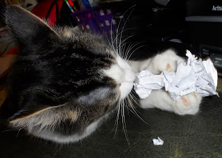 Anakin The Two legged cat Attacks paper