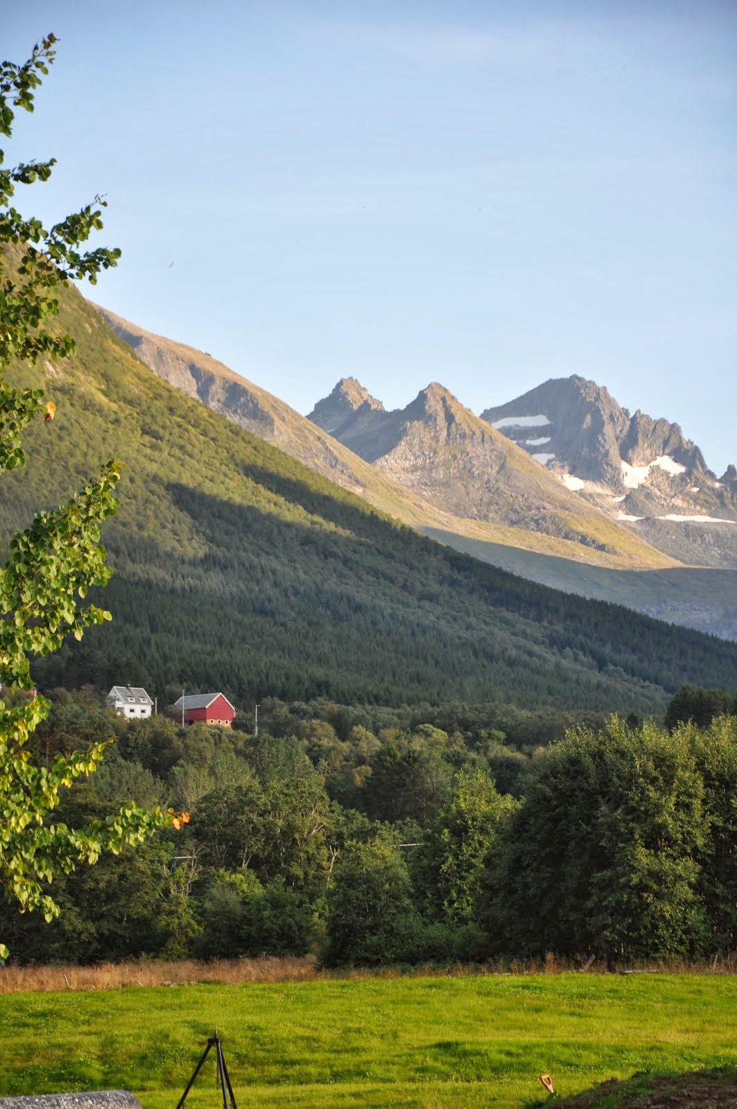 Utsikta frå garden