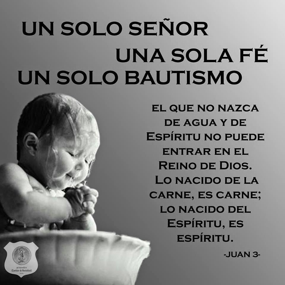 Articulos de Apologética Catolica ¿Necesitamos nacer de nuevo?