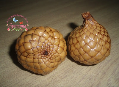 Buah Asam Kelubi