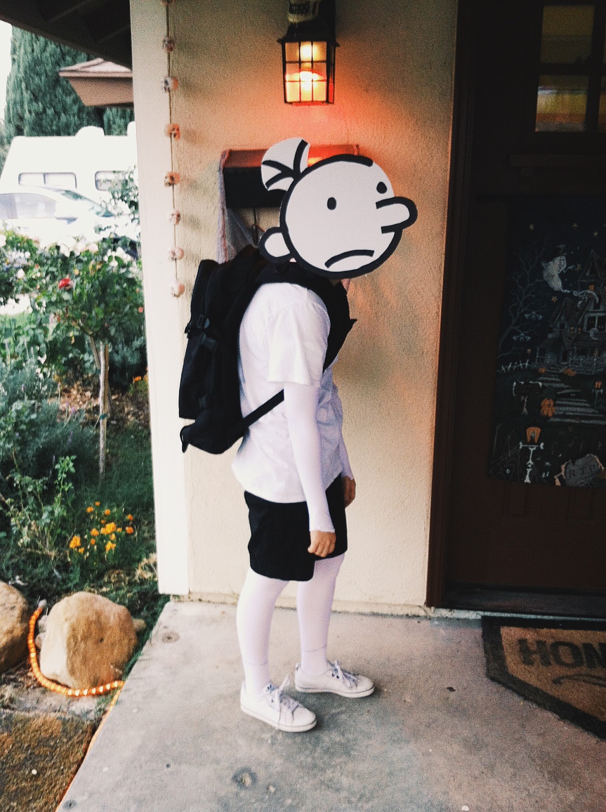 diary of a wimpy kid fancy dress