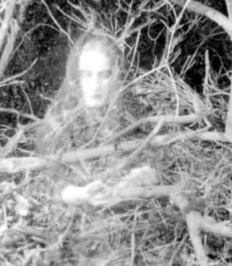 fotos de fantasmas reales........LESTAT Fantasma-+principios+de+sigloXX