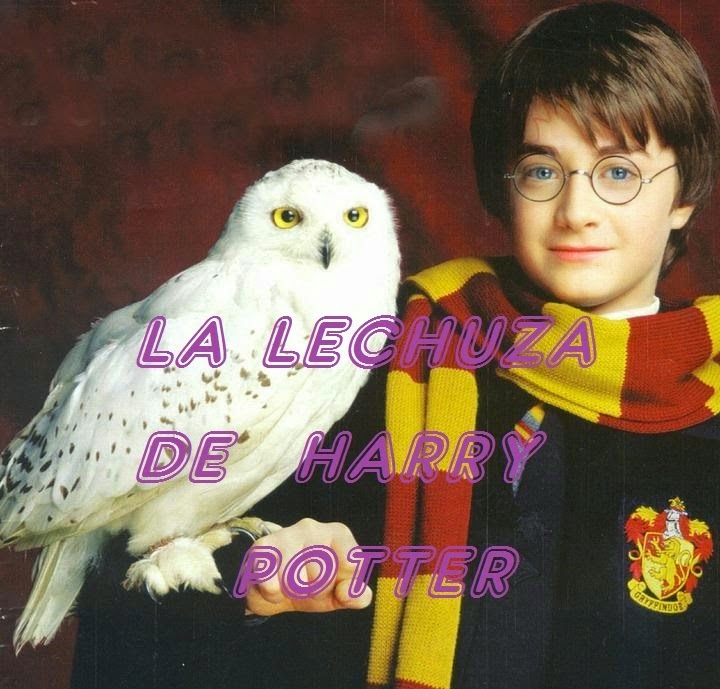 La lechuza de Harry Potter