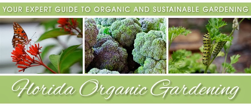 Florida Organic Gardening