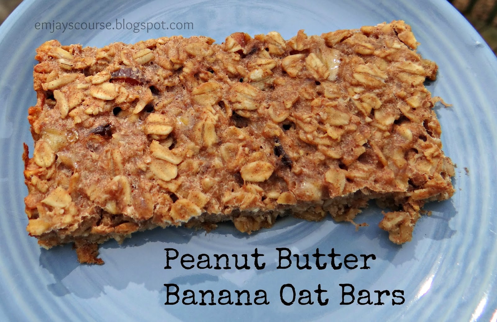 emjay's course Peanut Butter Banana Oat Bars