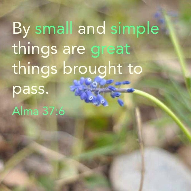 MIGHTY small THINGS: Small & Simple Things