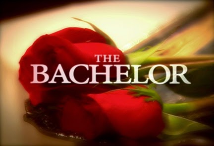 Bachelor Dude's Comedic Recaps of ABC's The Bachelor / The Bachelorette