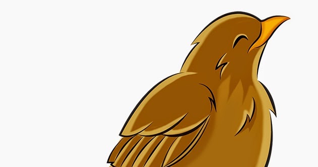 Liberum-Art: Yiguirro Ave Nacional de Costa Rica