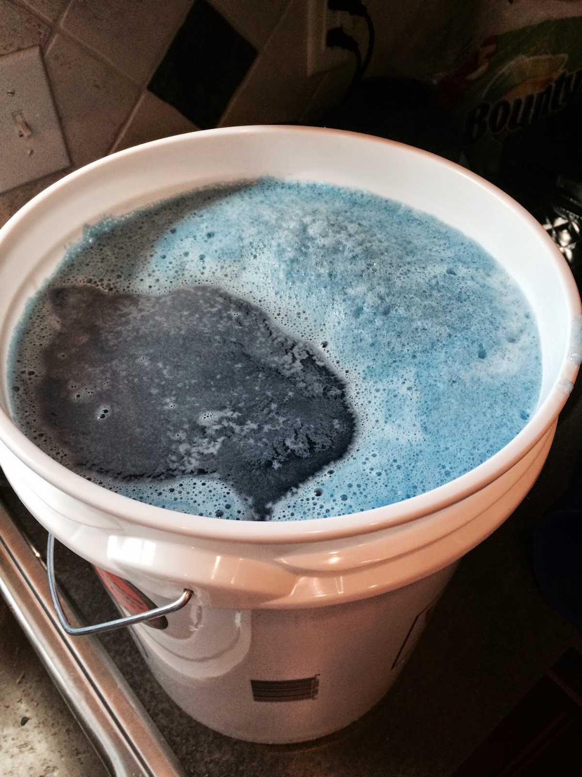 Wellness with Young Living Essential Oils 5 Gallon Bucket of Laundry