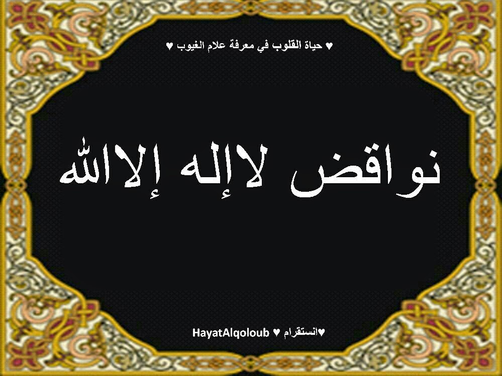 ما اركان شهادة ان لا اله الا الله موقع معلمي